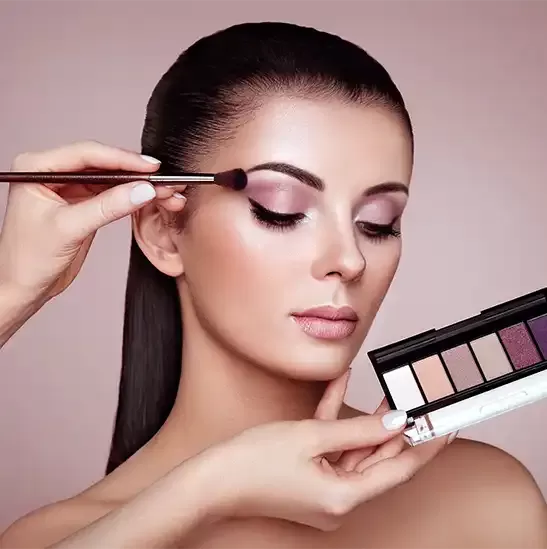 Professional Makeup Professional Makeup